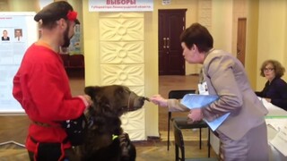 Voľby v Rusku: Medvede vo volebných miestnostiach aj tanečná súťaž